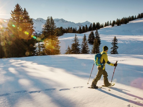 Snowshoe tours